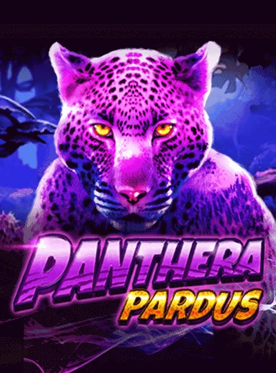 Bonus slot game cover